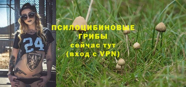 MDMA Premium VHQ Армянск