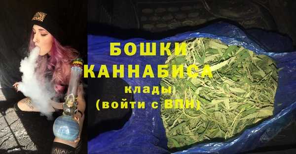 гидра Аркадак
