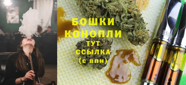 ПСИЛОЦИБИНОВЫЕ ГРИБЫ Балахна